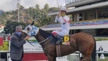 Fast Cat lista para ganar la sexta válida del 5y6