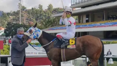 Fast Cat lista para ganar la sexta válida del 5y6 Fast Cat lista para ganar la sexta válida del 5y6