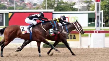 Lady Pianist en busca de su primera victoria en La Rinconada Lady Pianist en busca de su primera victoria en La Rinconada