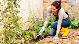 Aprende cómo cuidar y mantener el jardín