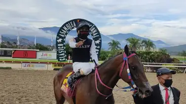 El entrenador Yordi Carvajal tiene cuatro compromisos este próximo domingo en La Rinconada El entrenador Yordi Carvajal tiene cuatro compromisos este próximo domingo en La Rinconada