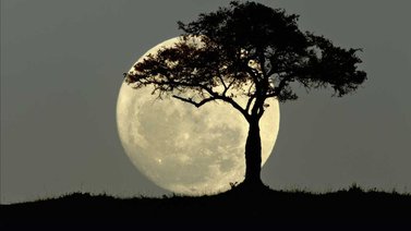 La última superluna del año se podrá observar este jueves