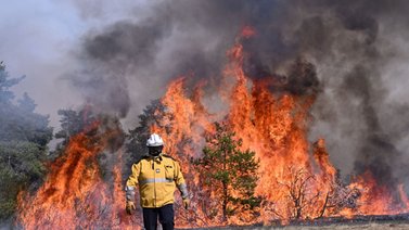Oleada de incendios arrasa con miles de hectáreas en Francia