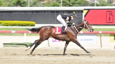 El conducido del "General" Jaime Lugo decidirá el segundo Clásico "My Own Bussines"