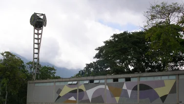 UCV 300