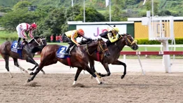 Amelazado medirá fuerzas contra Colossus por la doble corona en el República Bolivariana de Venezuela