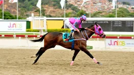 Quality Princess saldrá de perdedores este domingo en la segunda carrera en La Rinconada