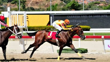 Rod Hendrick buscará sorprender en el tercer paso de la triple corona venezolana