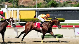 Rod Hendrick buscará sorprender en el tercer paso de la triple corona venezolana