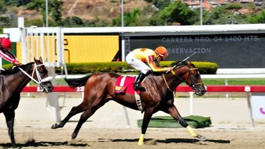 Rod Hendrick buscará sorprender en el tercer paso de la triple corona venezolana
