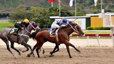 Lyndacarter rumbo al primer paso de la triple corona