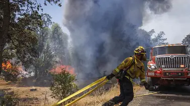 Incendio forestal en California ha afectado más de 6 mil hectáreas Incendio forestal en California ha afectado más de 6 mil hectáreas