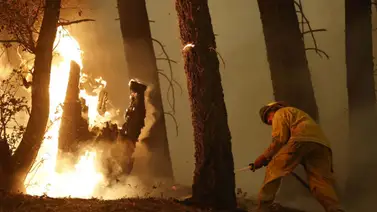 Incendio forestal en California crece y destruye viviendas Incendio forestal en California crece y destruye viviendas