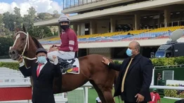 BLOSSOM DREAMS abrirá ganando en el 5y6
