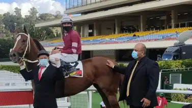 BLOSSOM DREAMS abrirá ganando en el 5y6 BLOSSOM DREAMS abrirá ganando en el 5y6