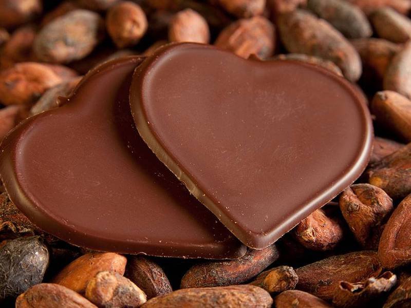 ¿Por qué el chocolate te hace feliz? ¿Por qué el chocolate te hace feliz?