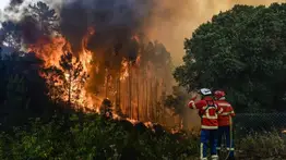 Incendios forestales se extienden por Italia mientras aumenta el calor