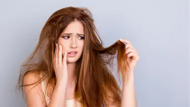 ¿Melena maltratada? ¡Ya no más! ¿Melena maltratada? ¡Ya no más!