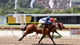 Lyndacarter va por su tercera gema en el Joaquín Crespo