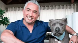 César Millán regresa a la televisión con "Mejor humano, mejor perro"