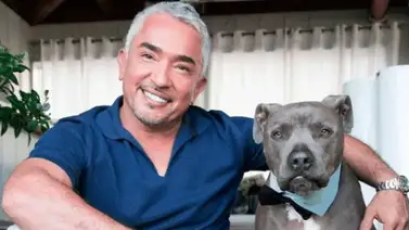 César Millán regresa a la televisión con "Mejor humano, mejor perro" César Millán regresa a la televisión con "Mejor humano, mejor perro"