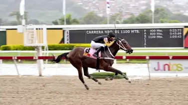 Bucare viene por el desquite luego de ser distanciado Bucare viene por el desquite luego de ser distanciado