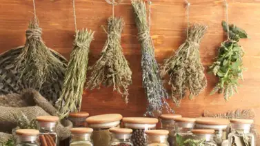 Cómo conservar por más tiempo el olor de las hierbas Cómo conservar por más tiempo el olor de las hierbas