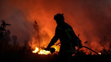 Incendios forestales arrasan con casi 60.000 hectáreas en España