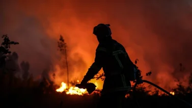 Incendios forestales arrasan con casi 60.000 hectáreas en España