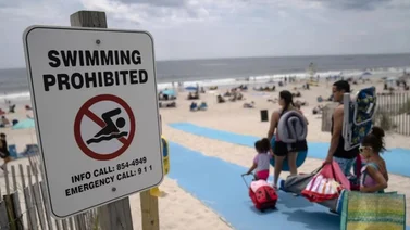 ¡Alerta en Queens! Cierran playa en Nueva York por avistamiento de tiburones