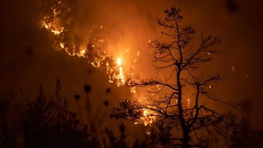 Incendios golpean el sur de Europa en medio de una ola de calor extremo