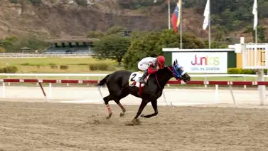 Vuelve Jhonatan Aray a los lomos de De Rous este próximo domingo Vuelve Jhonatan Aray a los lomos de De Rous este próximo domingo