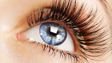 Aceite de ricino para hacer crecer las pestañas Aceite de ricino para hacer crecer las pestañas