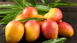 Descubre que hay más allá del sabor tropical del mango
