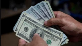 El imperio del dólar en Venezuela