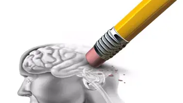 Dieta para reducir el riesgo de padecer Alzheimer Dieta para reducir el riesgo de padecer Alzheimer