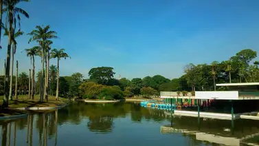 Ambientalistas rechazan el traslado de especies en peligro al Parque Francisco de Miranda Ambientalistas rechazan el traslado de especies en peligro al Parque Francisco de Miranda