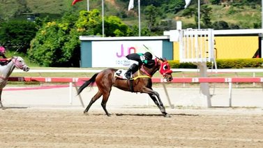 Quiboreña atropellará con fuerza en la segunda carrera dominical