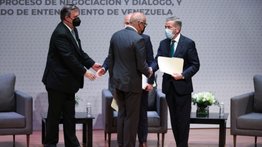 El gallo pelón del diálogo