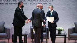 El gallo pelón del diálogo