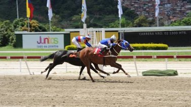 Bella Fina buscará ganar de punta a punta