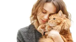 ¿Cómo cuidar al gato adulto?