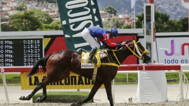 ¿Ya sabes quiénes son los inscritos para el Clásico Fuerzas Armadas?