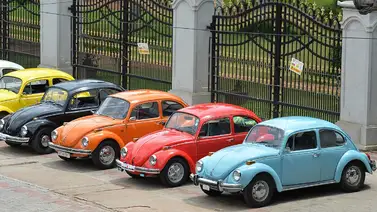 Bolivia rinde tributo a los "escarabajos", automóvil que no pasa de moda Bolivia rinde tributo a los "escarabajos", automóvil que no pasa de moda