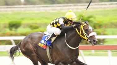 Fajador abrirá ganando este domingo en La Rinconada