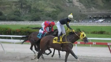 Money Secret lista para ir al Paddock de ganadores Money Secret lista para ir al Paddock de ganadores