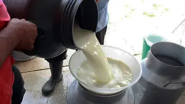 Cavilac: Escasez del diésel afecta producción de leche Cavilac: Escasez del diésel afecta producción de leche