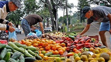 Fedeagro prevé aumento en el precio de las hortalizas