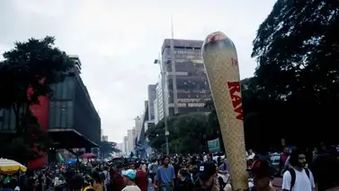 Marchan en Brasil por legalización de la marihuana Marchan en Brasil por legalización de la marihuana