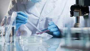 OMS: Falta información clave para entender origen de la pandemia